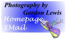 Photography & Web Design